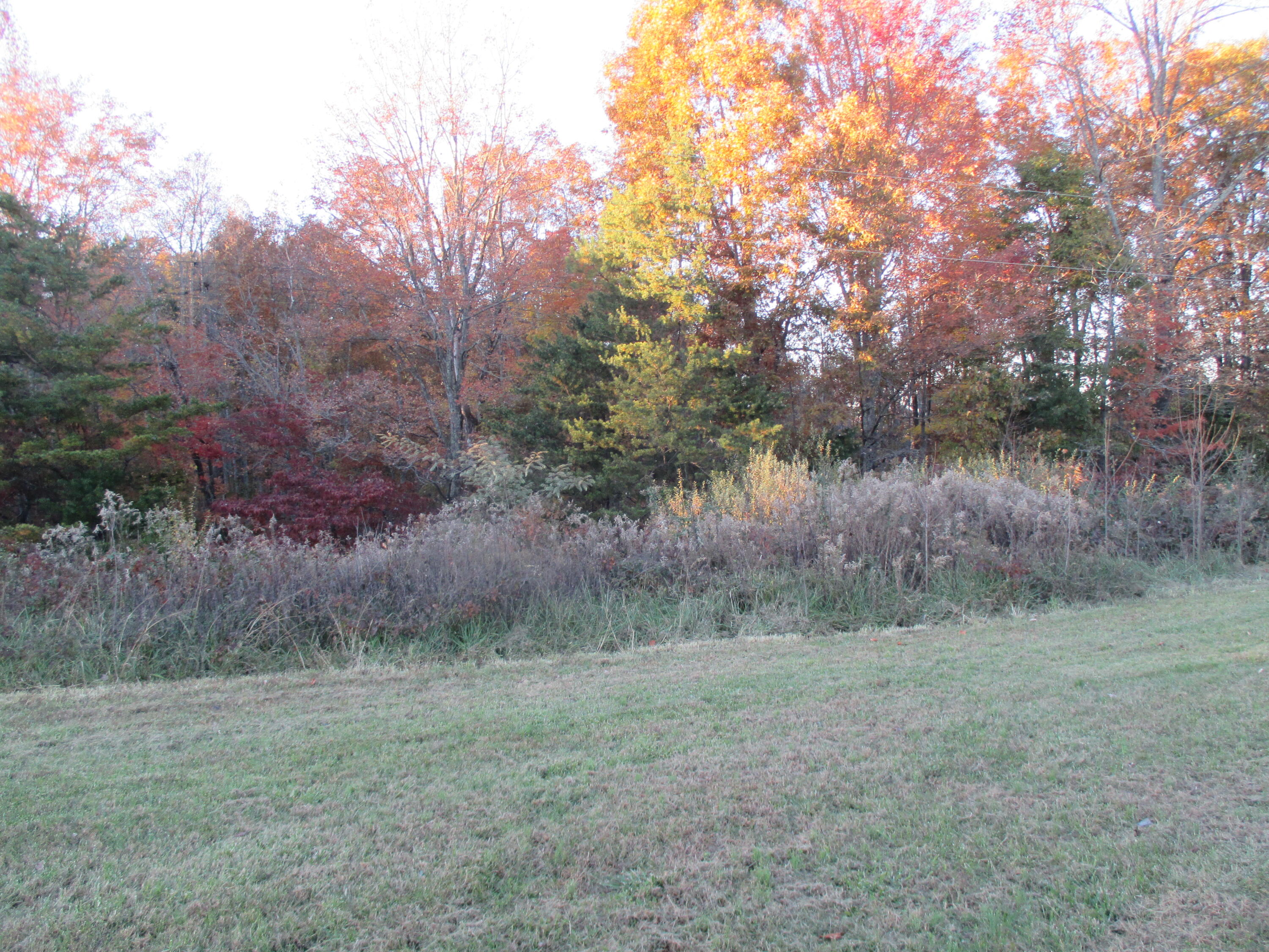 11326 Red Bird Road Williamsburg, KY 40769 - Photo 18 of 18 IMG_5634
