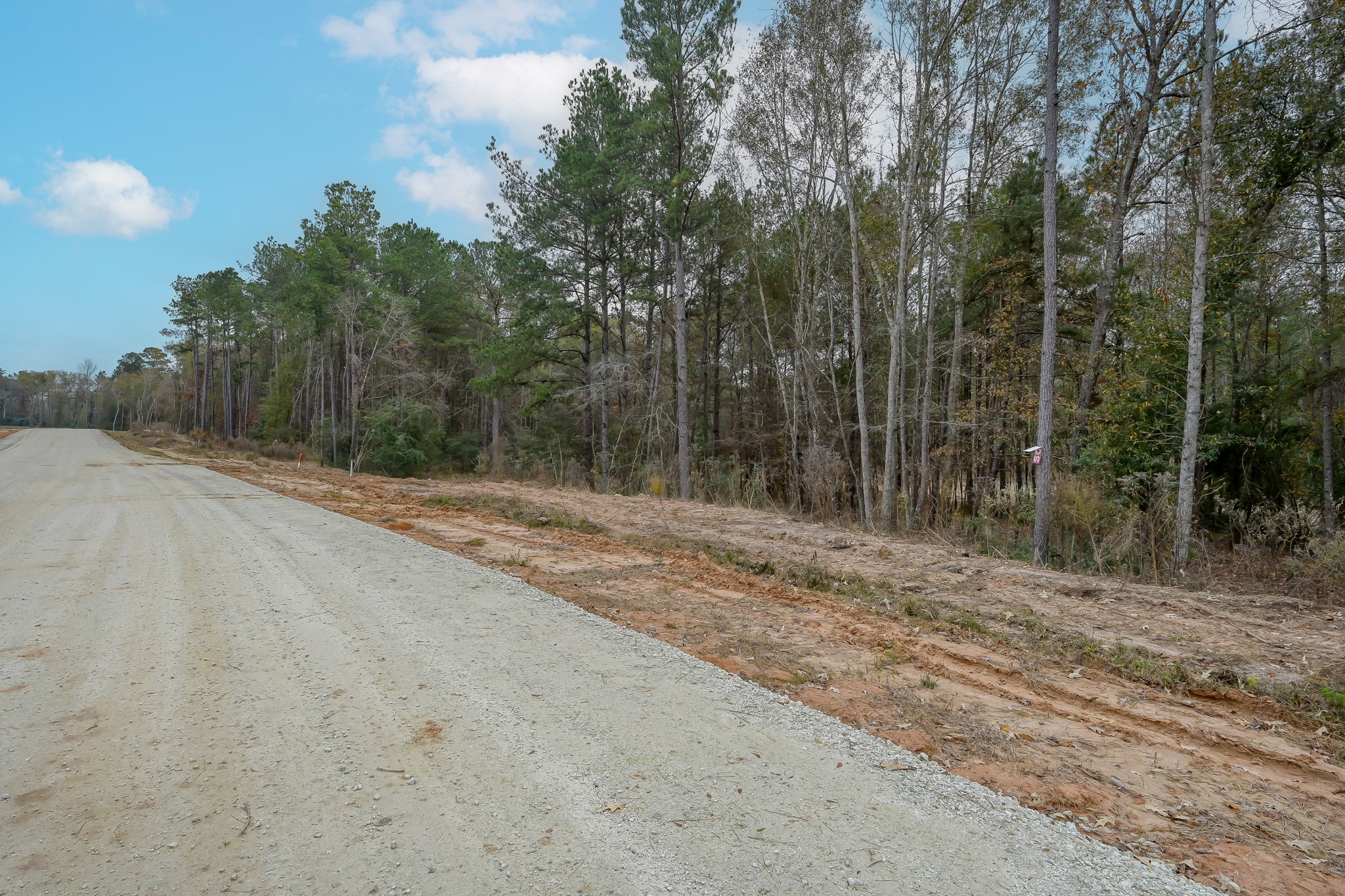 132 Heartland Road New Waverly, TX 77358 - Photo 2 of 14