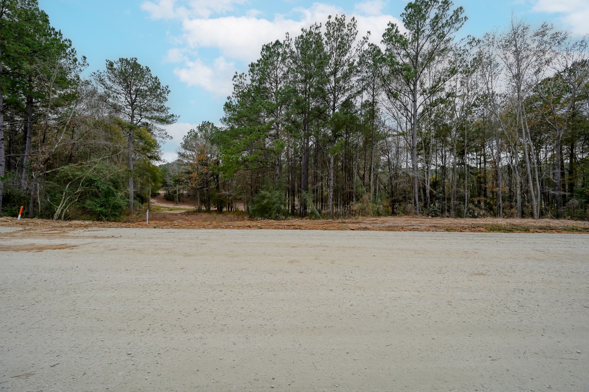 132 Heartland Road New Waverly, TX 77358 - Photo 3 of 14