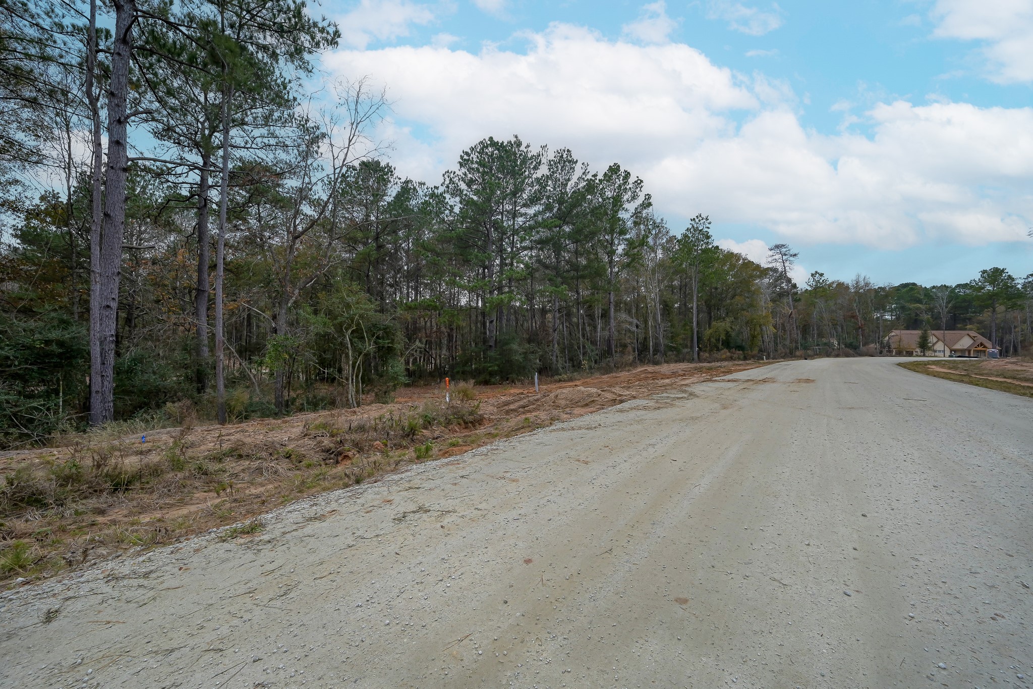 132 Heartland Road New Waverly, TX 77358 - Photo 4 of 14