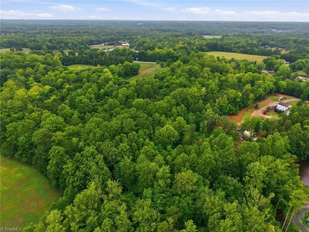4313 Neiman Acres Road Summerfield, NC 27358 - Photo 5 of 16 Gallery Image 5