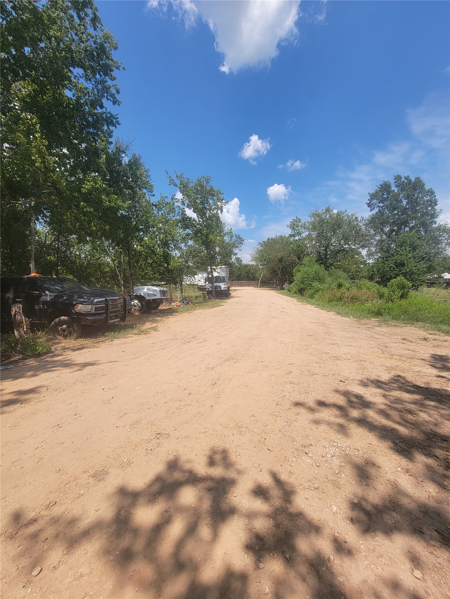 2170 Skrivanek Road Sealy, TX 77474 - Photo 28 of 35 a view of a yard with a tree
