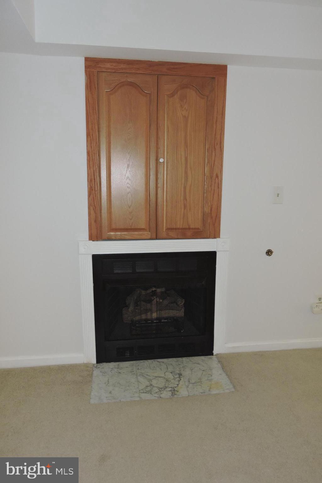 7214 Countrywood Court Springfield, VA 22151 - Photo 10 of 21 Gas Fireplace