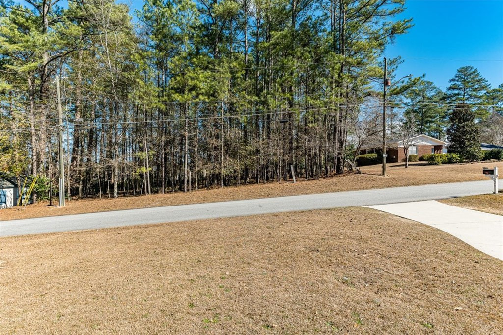 226 McKay Road Martinez, GA 30907 - Photo 4 of 43