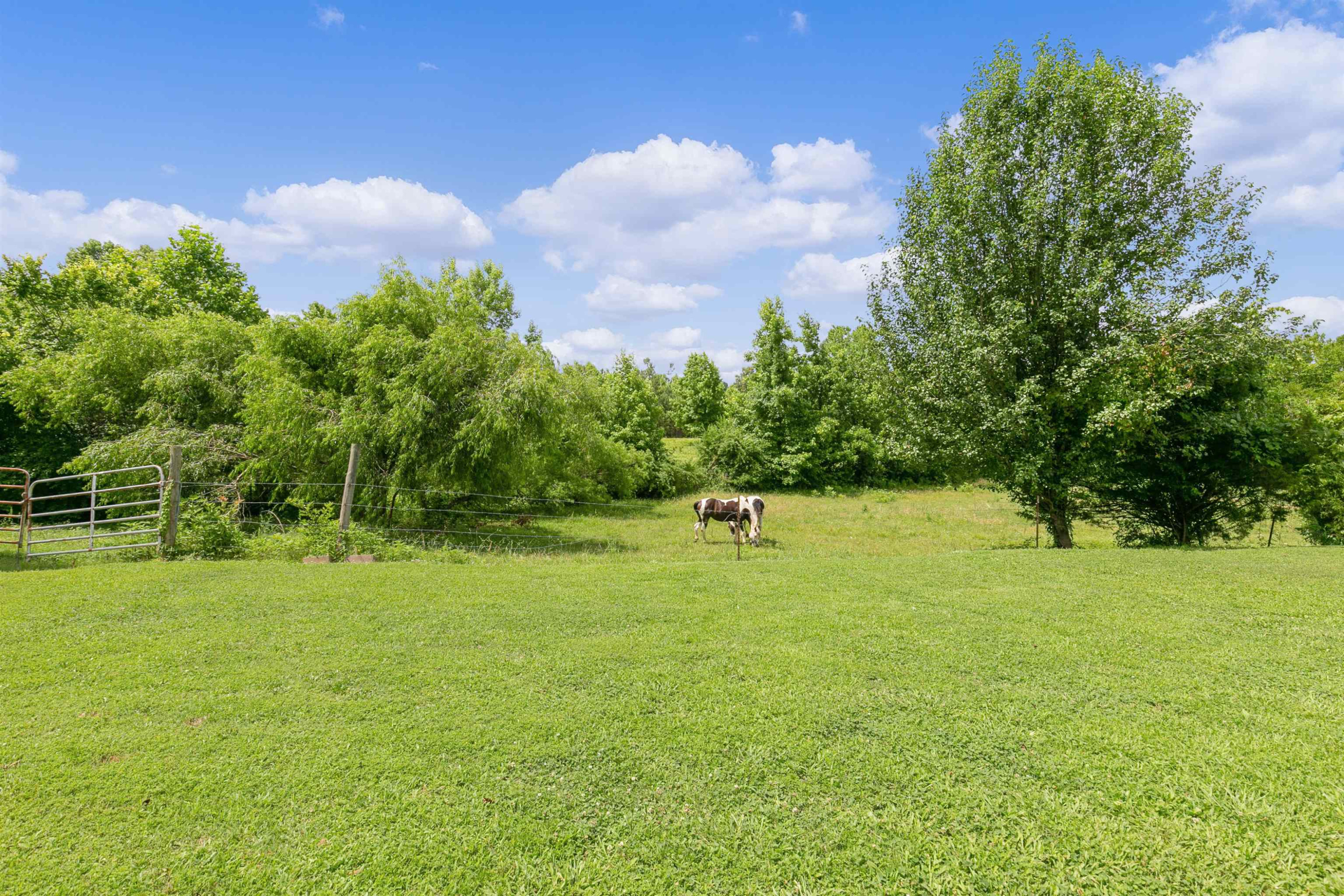 3225 Pickens Store Road Mason, TN 38049 - Photo 21 of 32 a view of a green yard