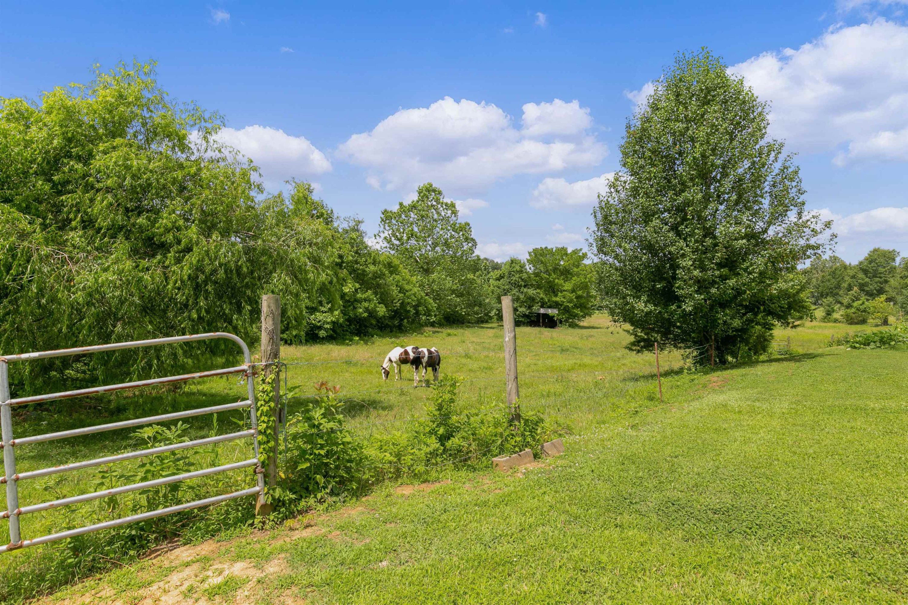 3225 Pickens Store Road Mason, TN 38049 - Photo 22 of 32 a view of a field
