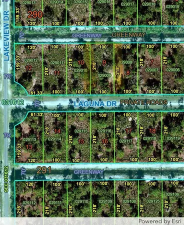 an outdoor view from a garden