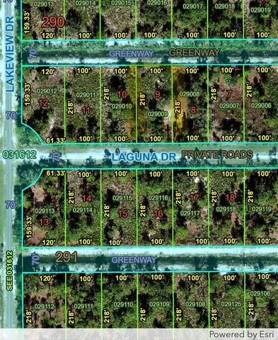 an outdoor view from a garden