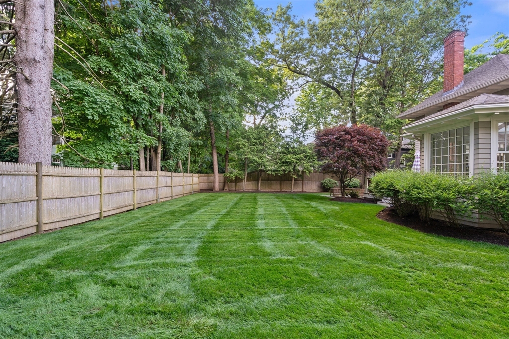 56 Pine Ridge Road Newton, MA 02468 - Photo 20 of 24 a view of a backyard with a large tree