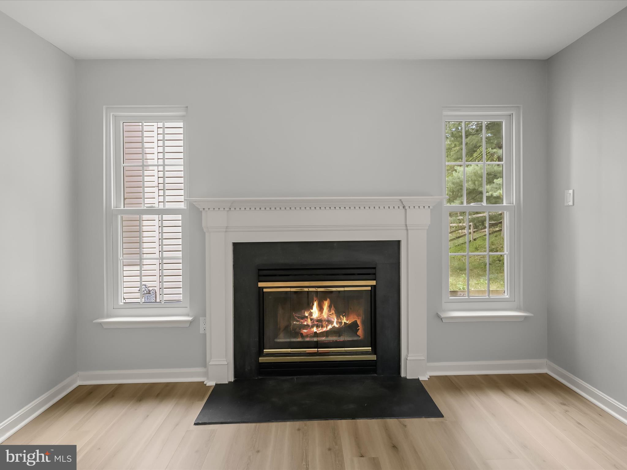 6453 Empty Song Road Columbia, MD 21044 - Photo 24 of 74 Fireplace