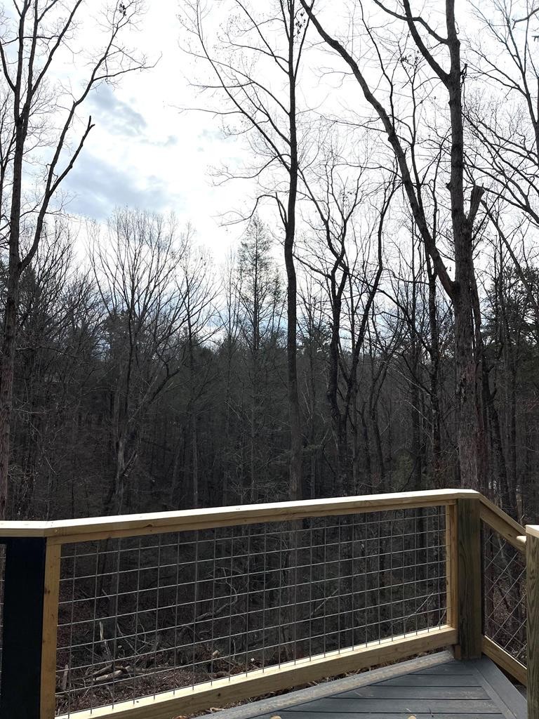 1611 South Mountain View Road Sevierville, TN 37876 - Photo 9 of 26