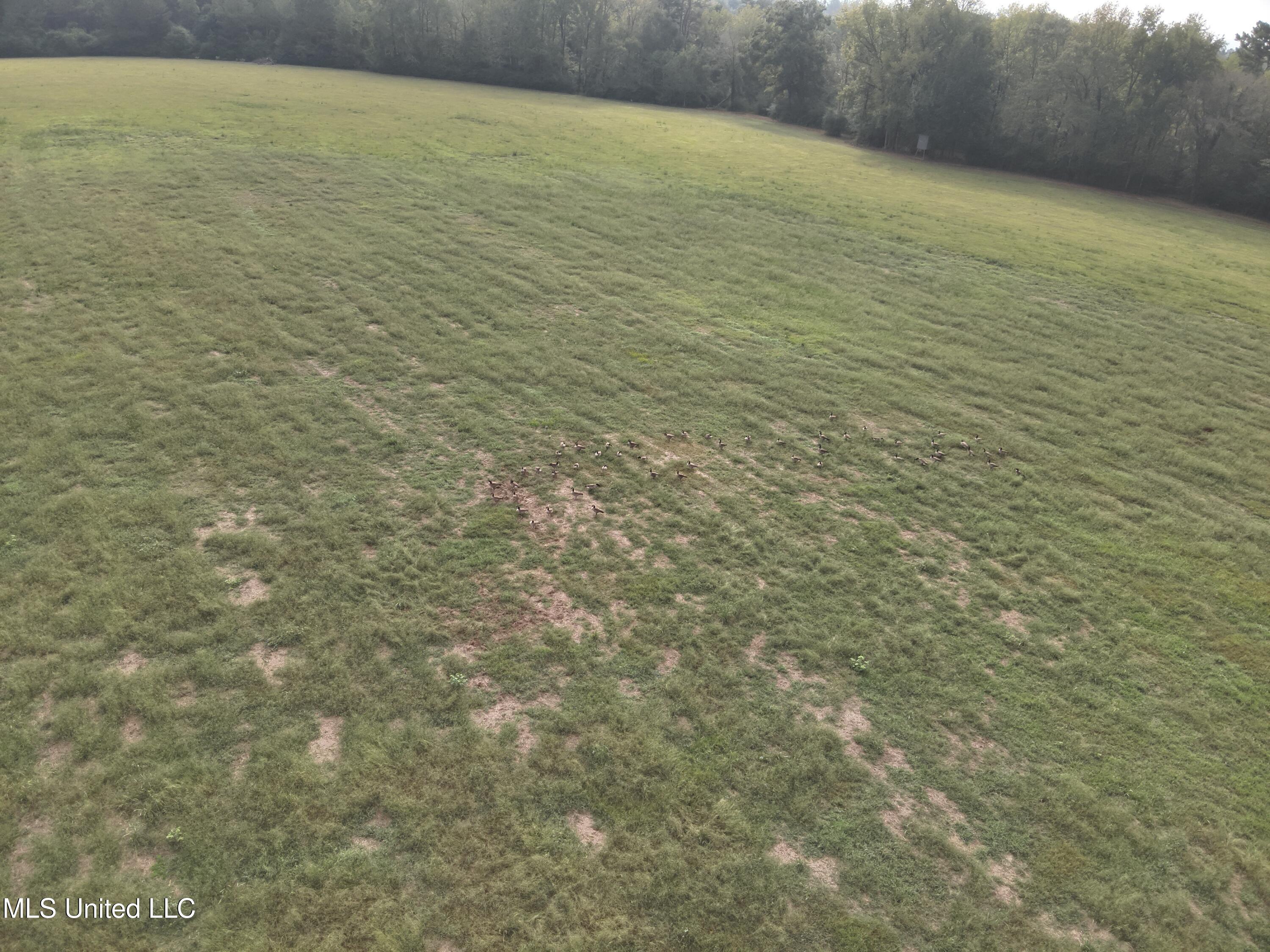 821 Columbia Purvis Road Columbia, MS 39429 - Photo 27 of 29 DJI_20251008094916_0049_V
