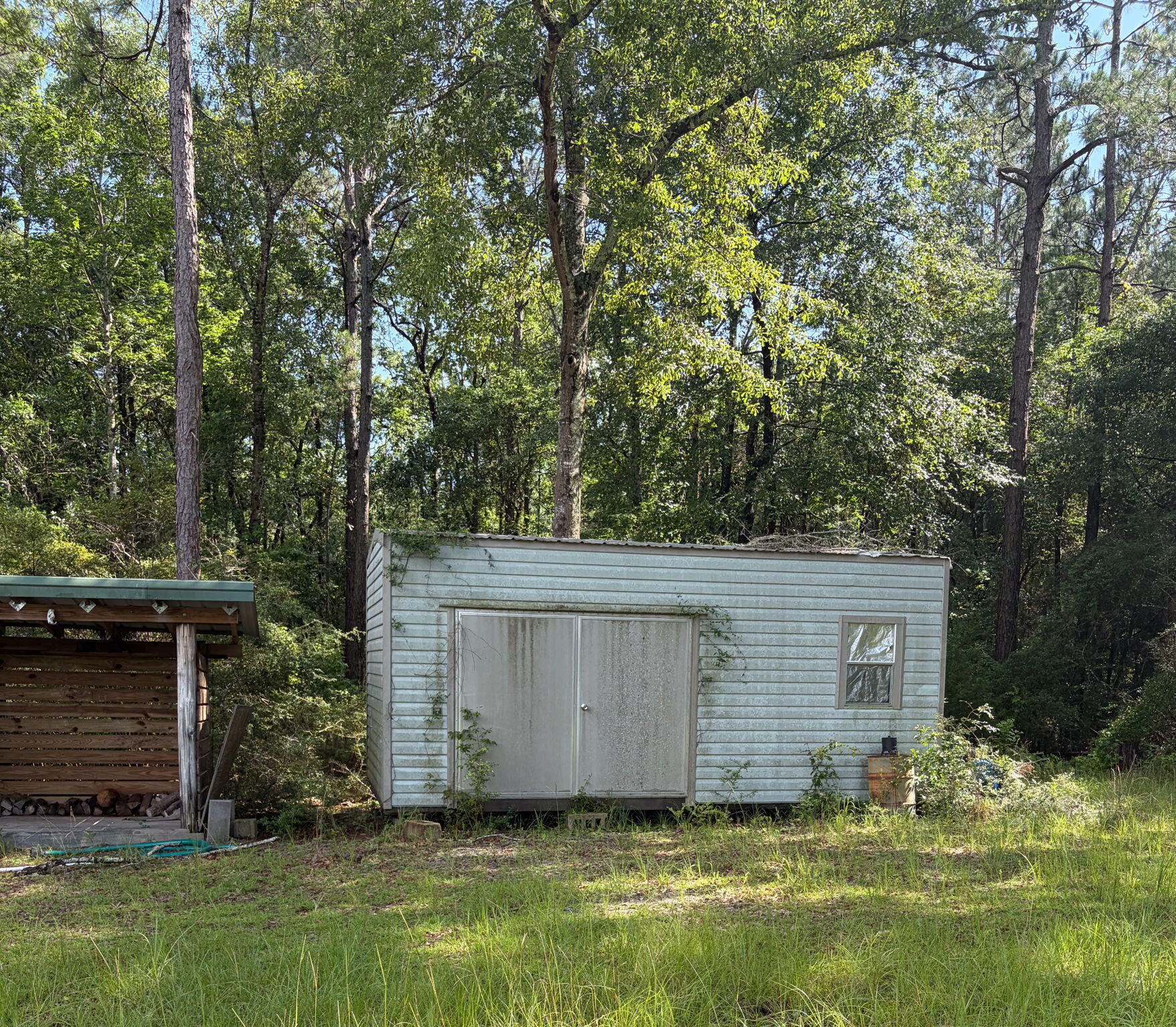 82 Acres 4 Flags Road Laurel Hill, FL 32567 - Photo 33 of 45 29-web-or-mls-IMG_1825