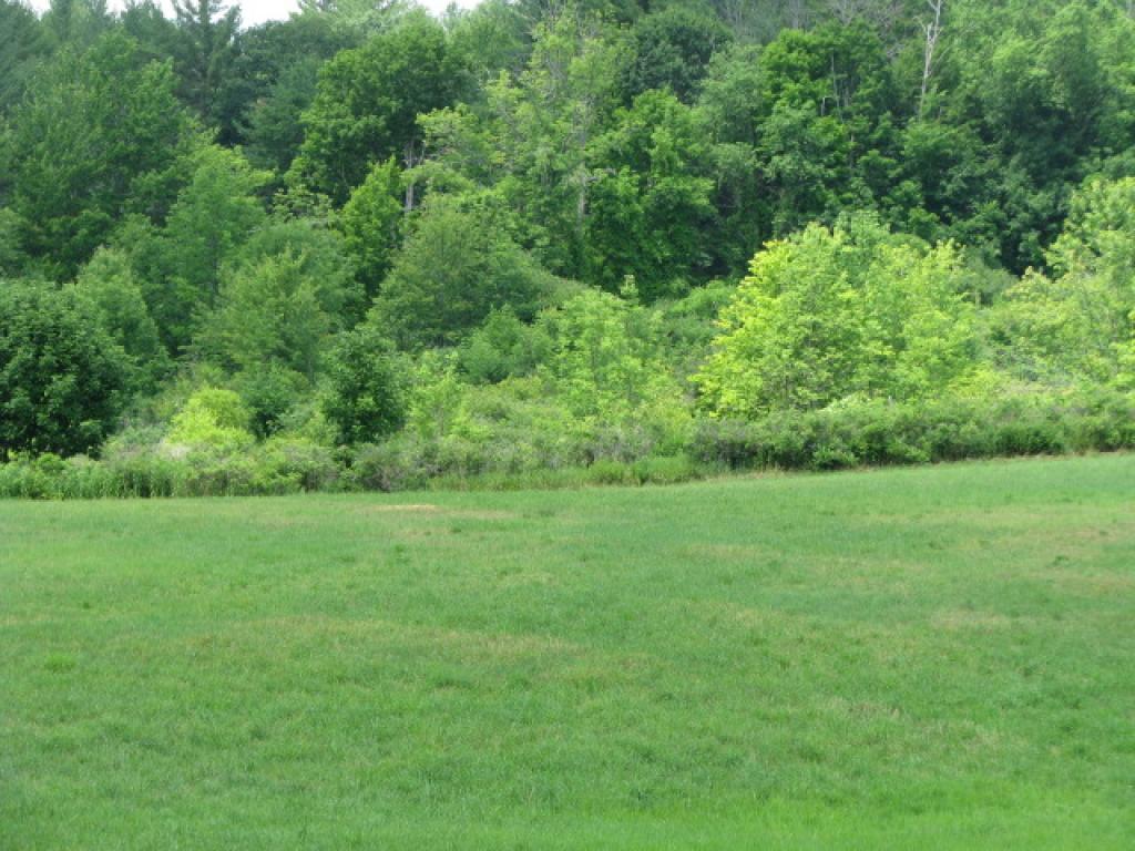 B Colby Hill Road Henniker, NH 03242 - Photo 6 of 6 Gallery Image 6