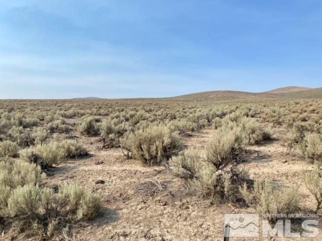 7045202 Near Valmy Road Valmy, NV 89438 - Photo 2 of 10 Photo 2