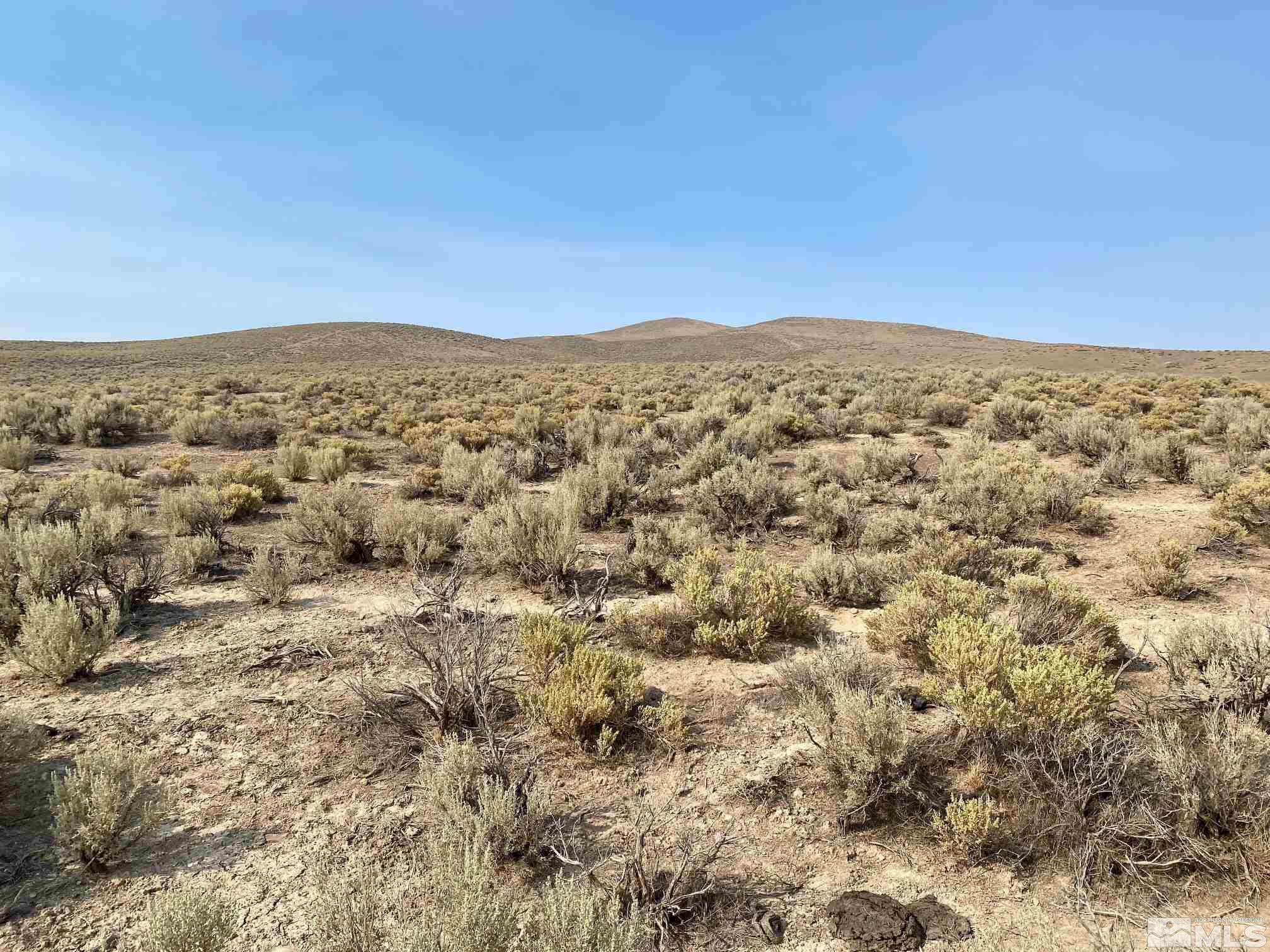 7045202 Near Valmy Road Valmy, NV 89438 - Photo 5 of 10 Photo 5