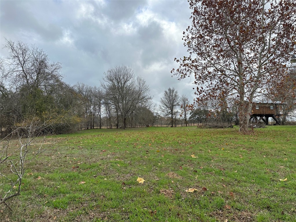 429 Hidden Shores Road Smithville, TX 78957 - Photo 2 of 9