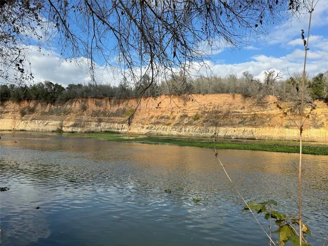 a view of field with trees
