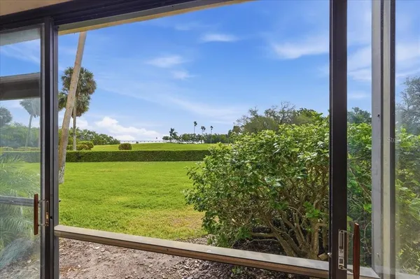 a view of a garden from a window