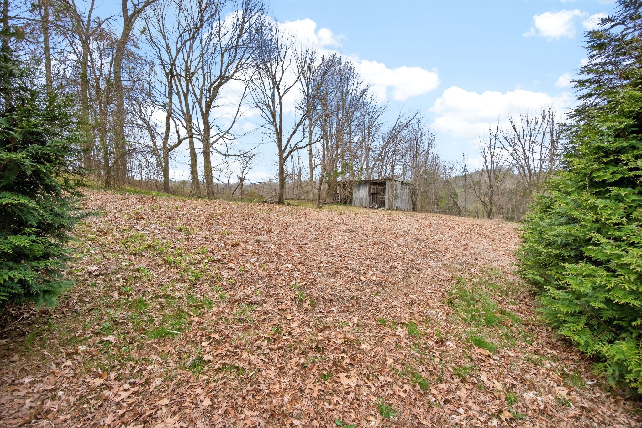 314 Smyrna Road Byrdstown, TN 38549 - Photo 6 of 27