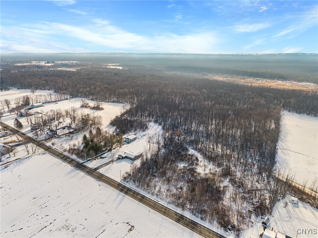 7056 Island Road Cicero, NY 13039 - Photo 37 of 50