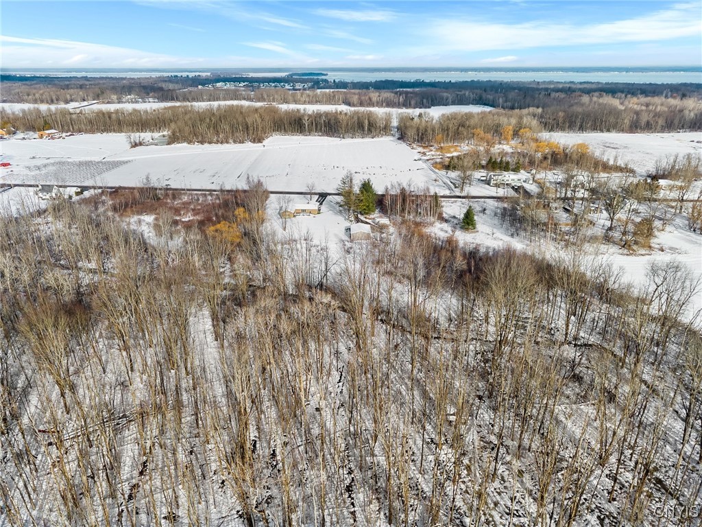 7056 Island Road Cicero, NY 13039 - Photo 40 of 50