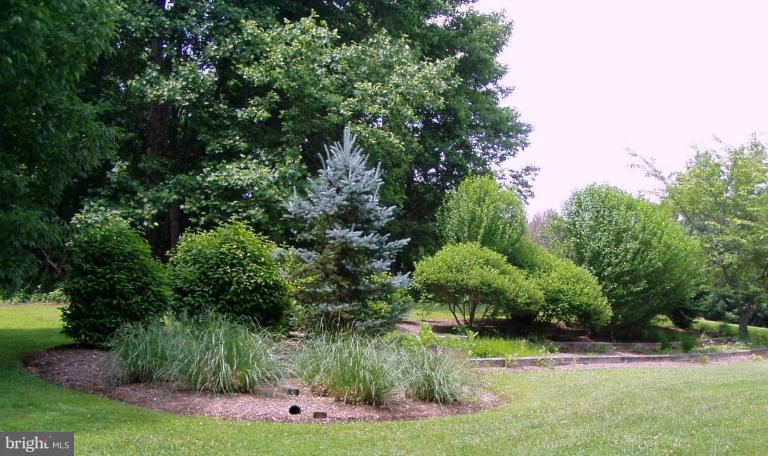 17304 Twin Ridge Court Silver Spring, MD 20905 - Photo 14 of 19 a view of a garden
