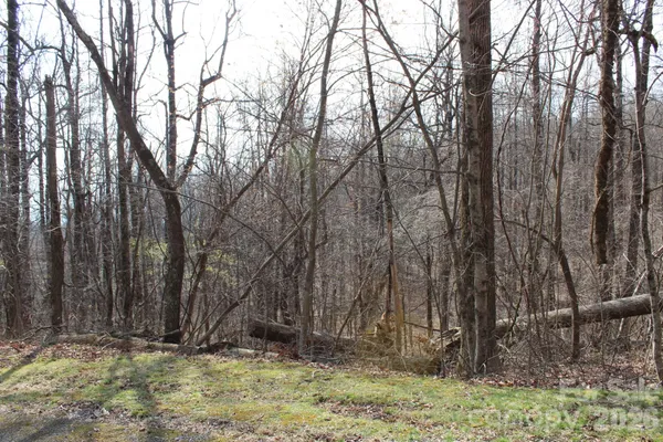 a view of wooden fence under a large tree