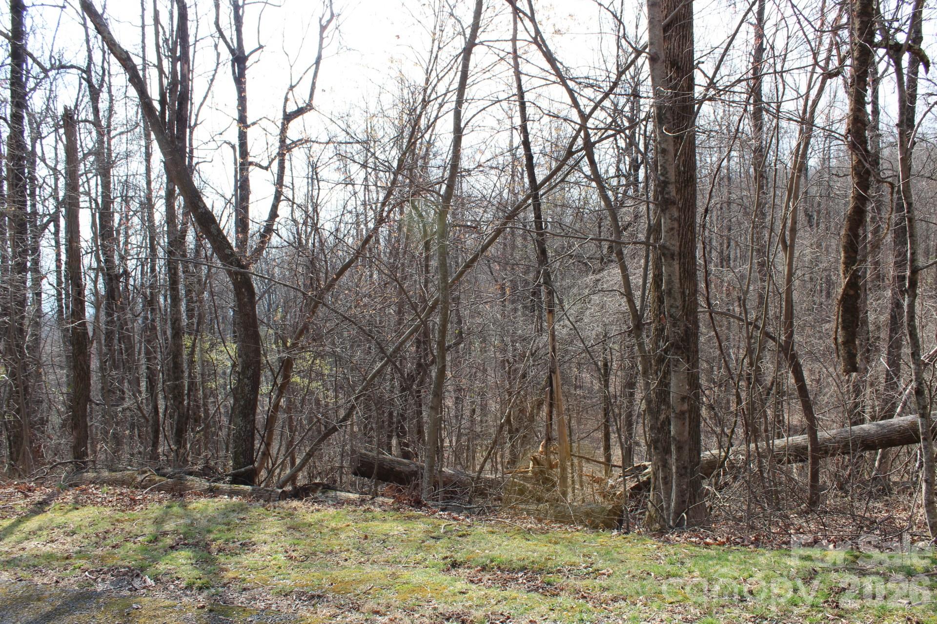 a view of wooden fence under a large tree