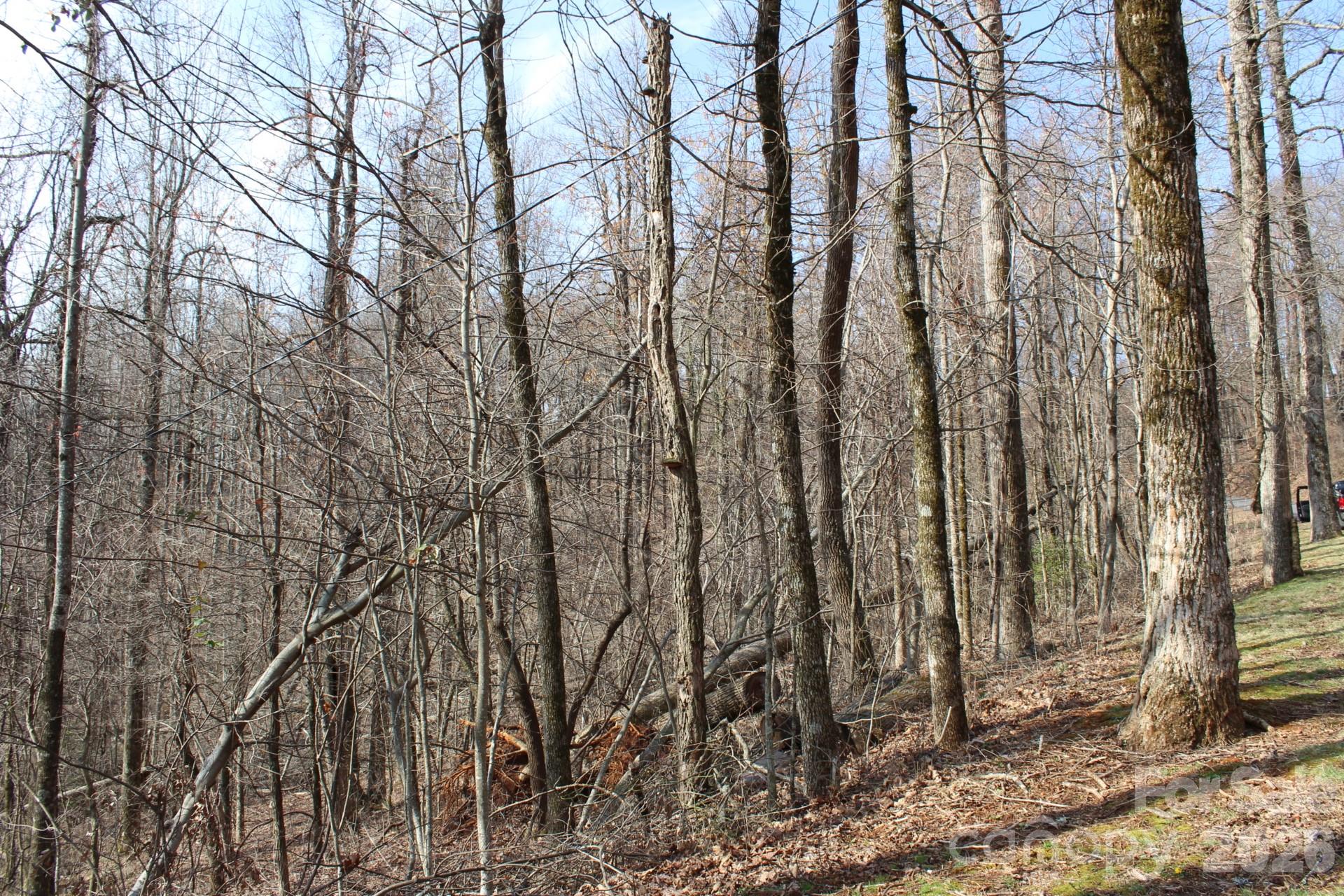 Lot 20 Sunset Ridge Drive, Unit 20 Columbus, NC 28722 - Photo 16 of 18 a backyard of a house with lots of trees