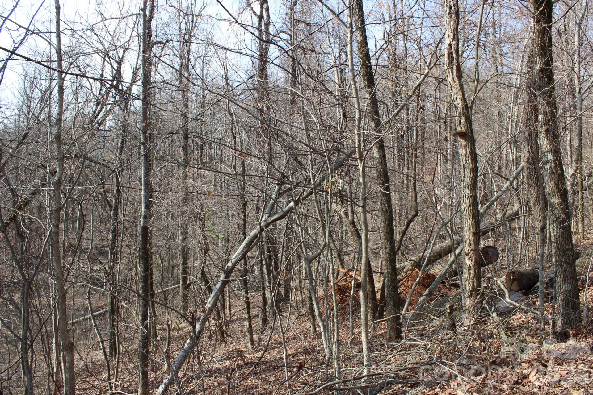 Lot 20 Sunset Ridge Drive, Unit 20 Columbus, NC 28722 - Photo 17 of 18 a backyard of a house with lots of trees