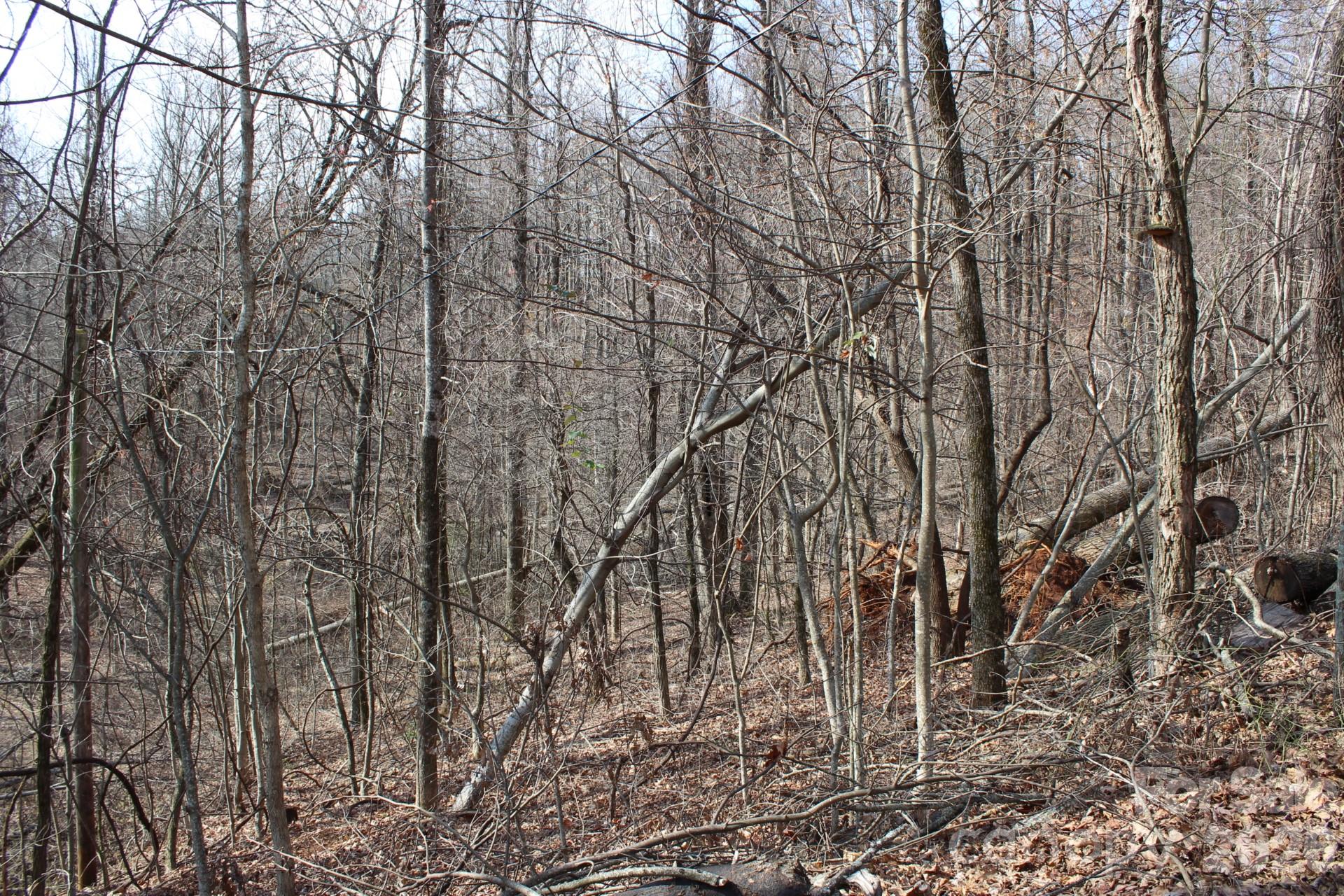Lot 20 Sunset Ridge Drive, Unit 20 Columbus, NC 28722 - Photo 18 of 18 a backyard of a house with lots of green space