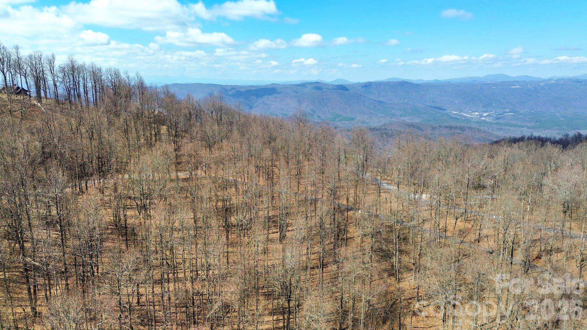 Lot 20 Sunset Ridge Drive, Unit 20 Columbus, NC 28722 - Photo 3 of 18 a view of residential houses with mountain view