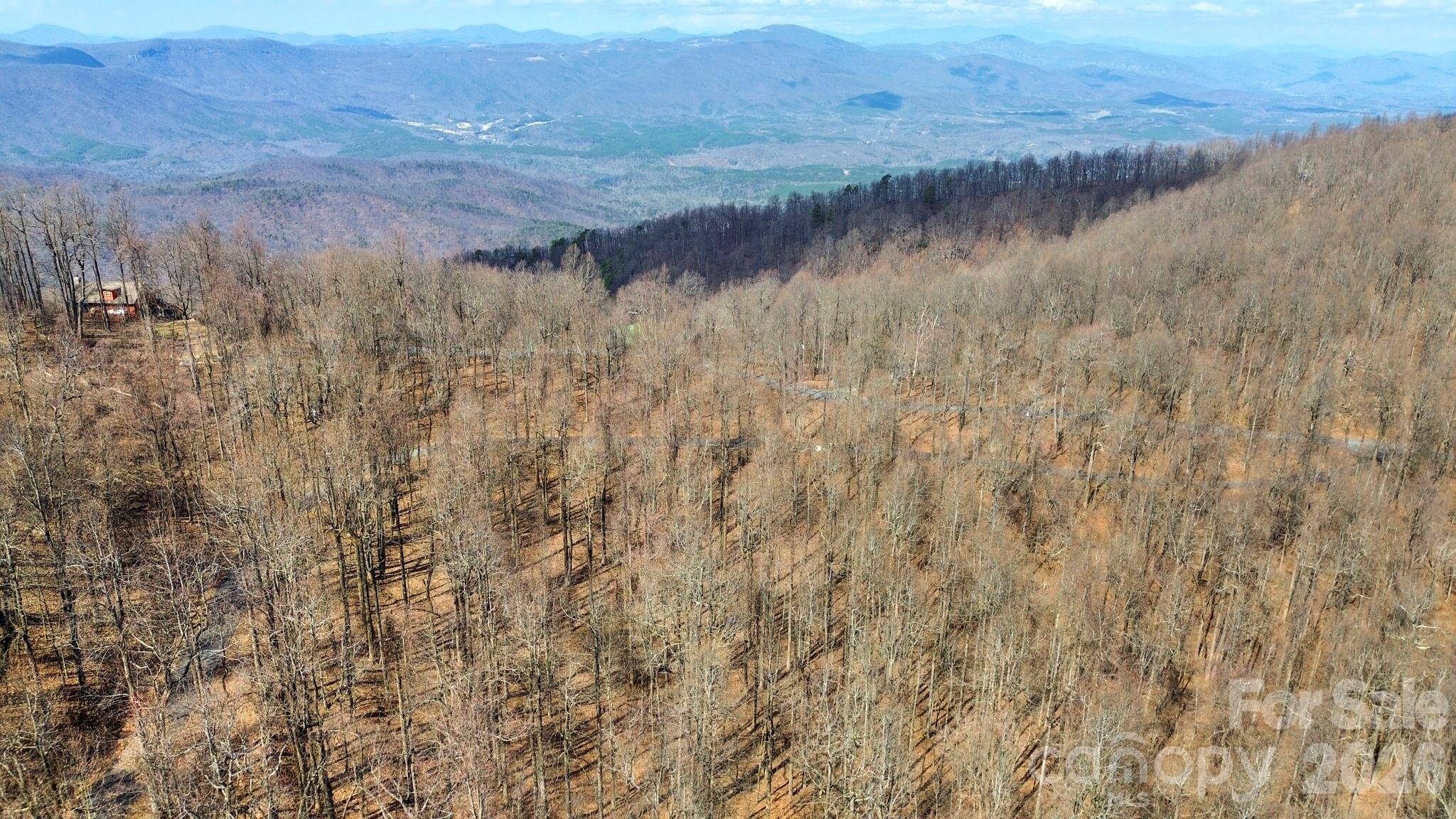 Lot 20 Sunset Ridge Drive, Unit 20 Columbus, NC 28722 - Photo 4 of 18 a view of a lake with mountain view