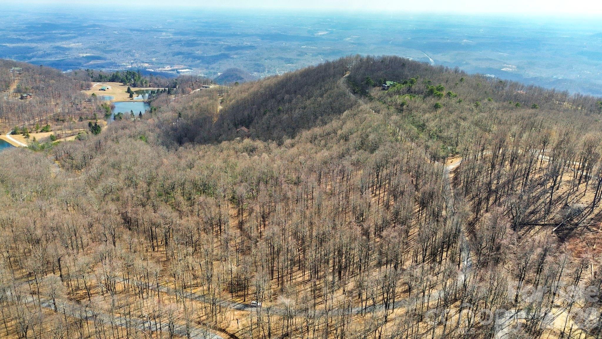 Lot 20 Sunset Ridge Drive, Unit 20 Columbus, NC 28722 - Photo 6 of 18 a view of a dry yard in a forest
