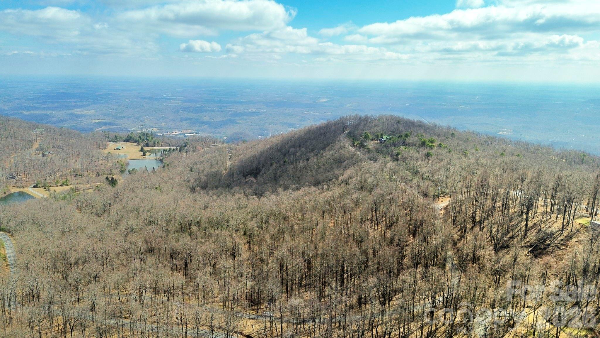 Lot 20 Sunset Ridge Drive, Unit 20 Columbus, NC 28722 - Photo 7 of 18