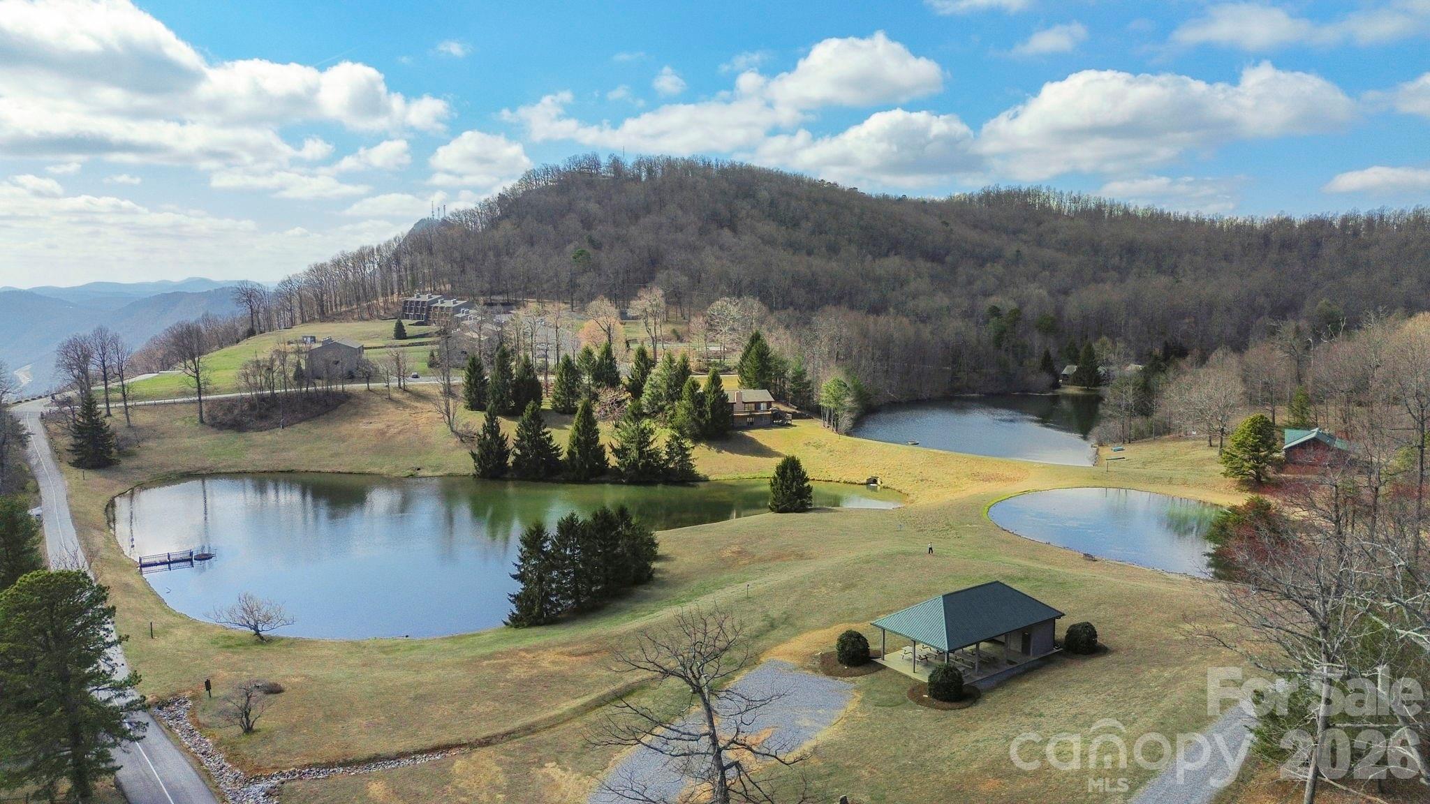 Lot 20 Sunset Ridge Drive, Unit 20 Columbus, NC 28722 - Photo 9 of 18 a view of a swimming pool with a yard