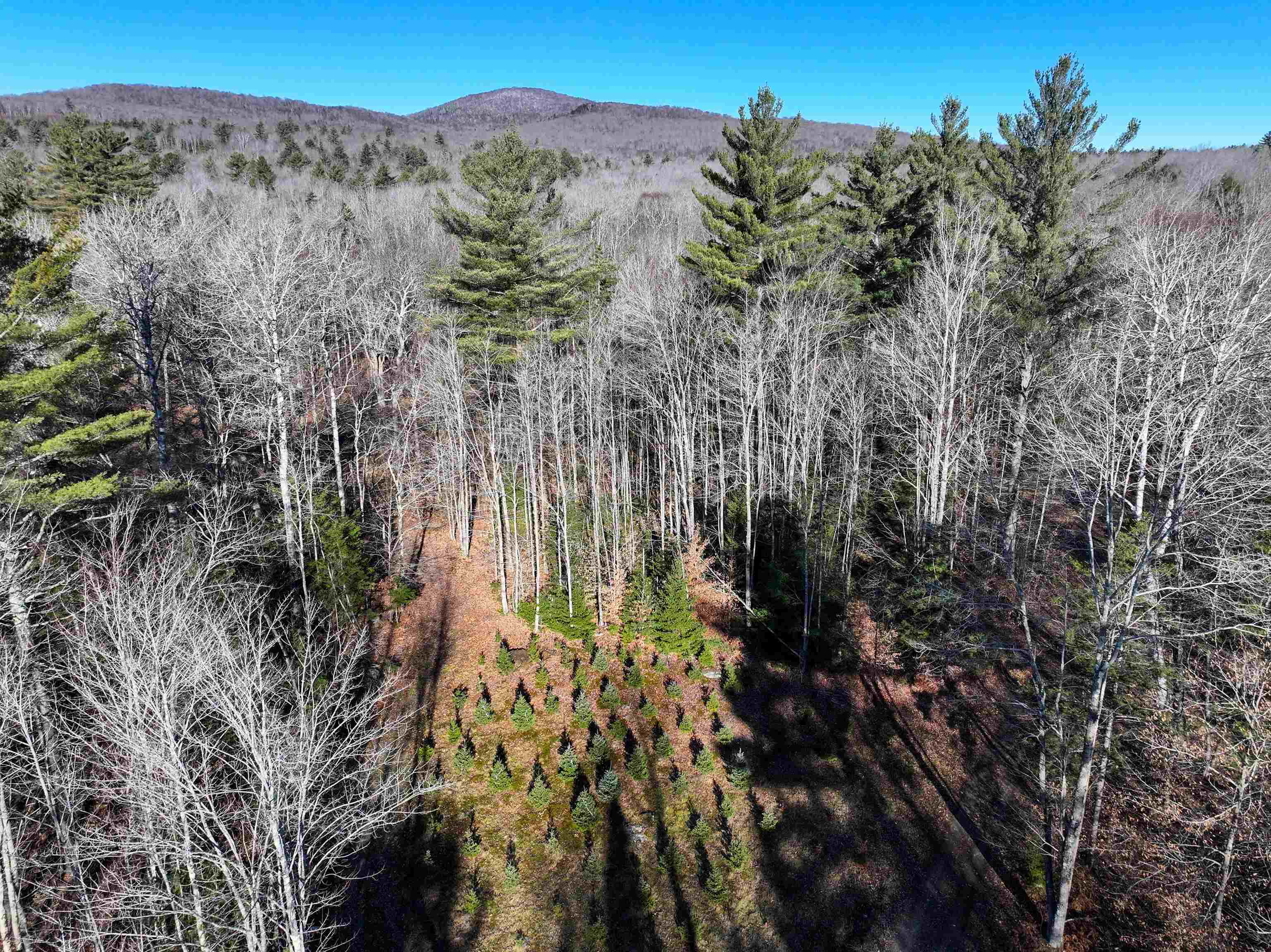 Tbd Selden Mill Road, Unit LOTS 1 AND 3 Ripton, VT 05766 - Photo 1 of 12
