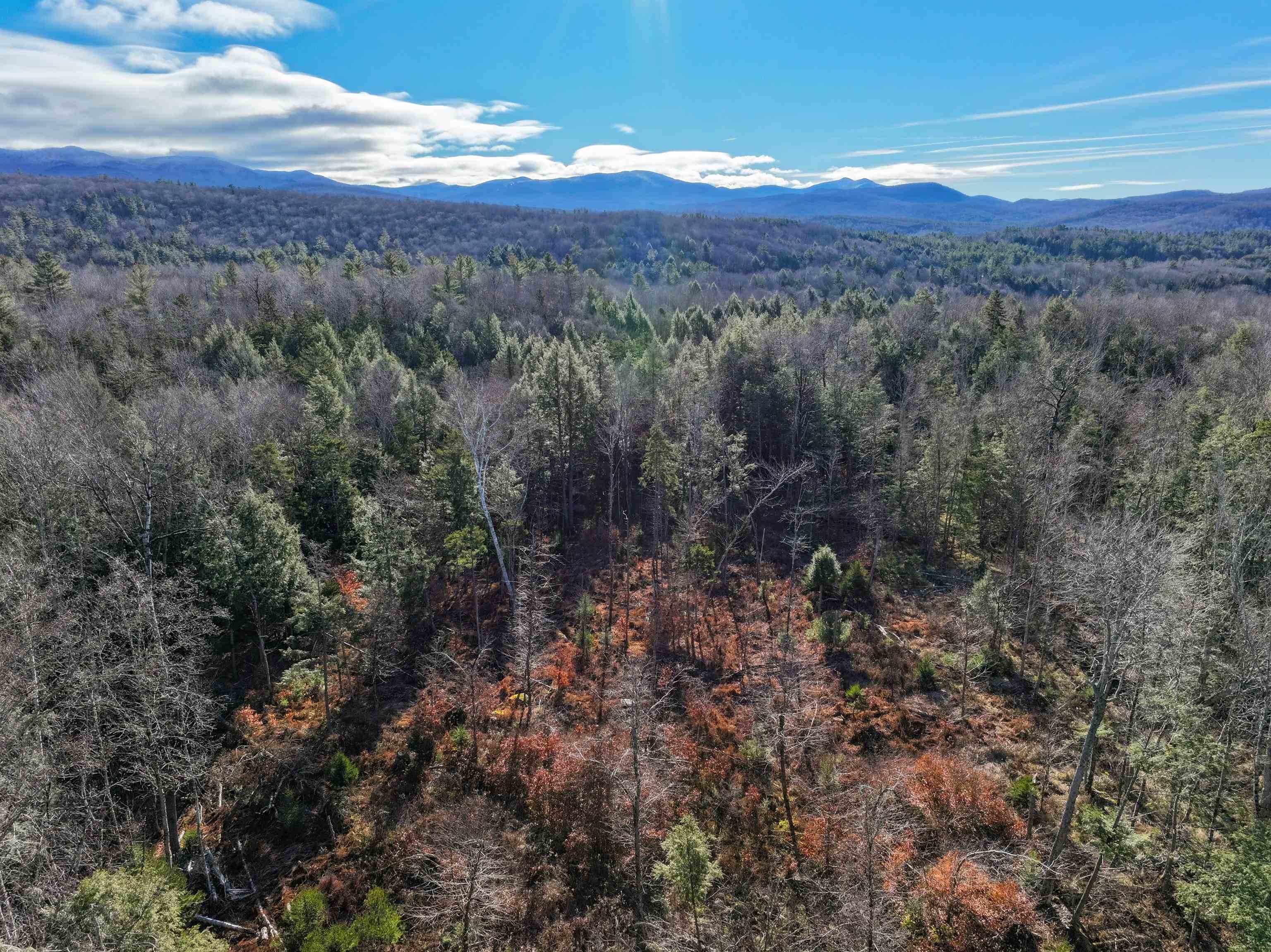 Tbd Selden Mill Road, Unit LOTS 1 AND 3 Ripton, VT 05766 - Photo 11 of 12