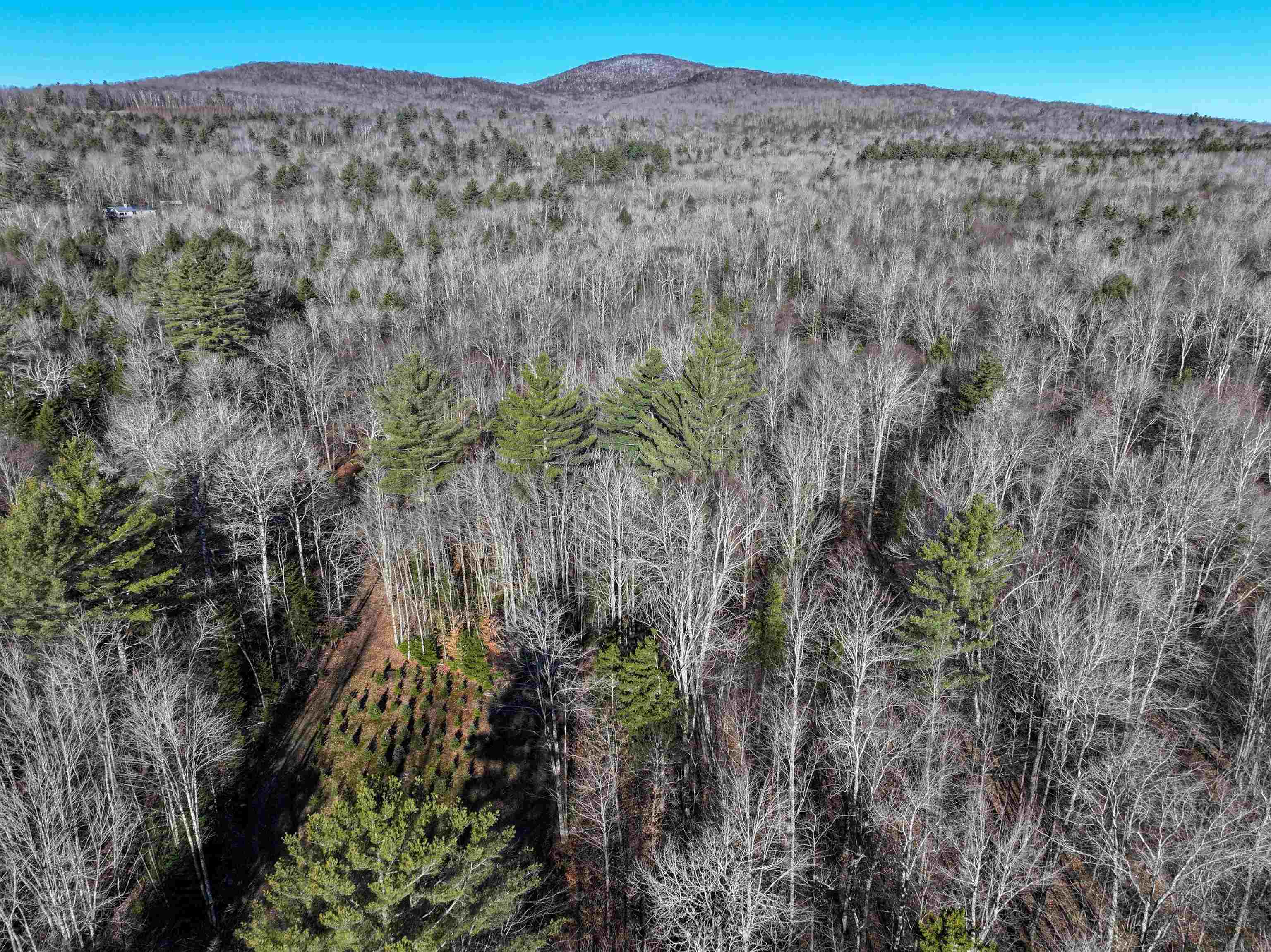 Tbd Selden Mill Road, Unit LOTS 1 AND 3 Ripton, VT 05766 - Photo 12 of 12