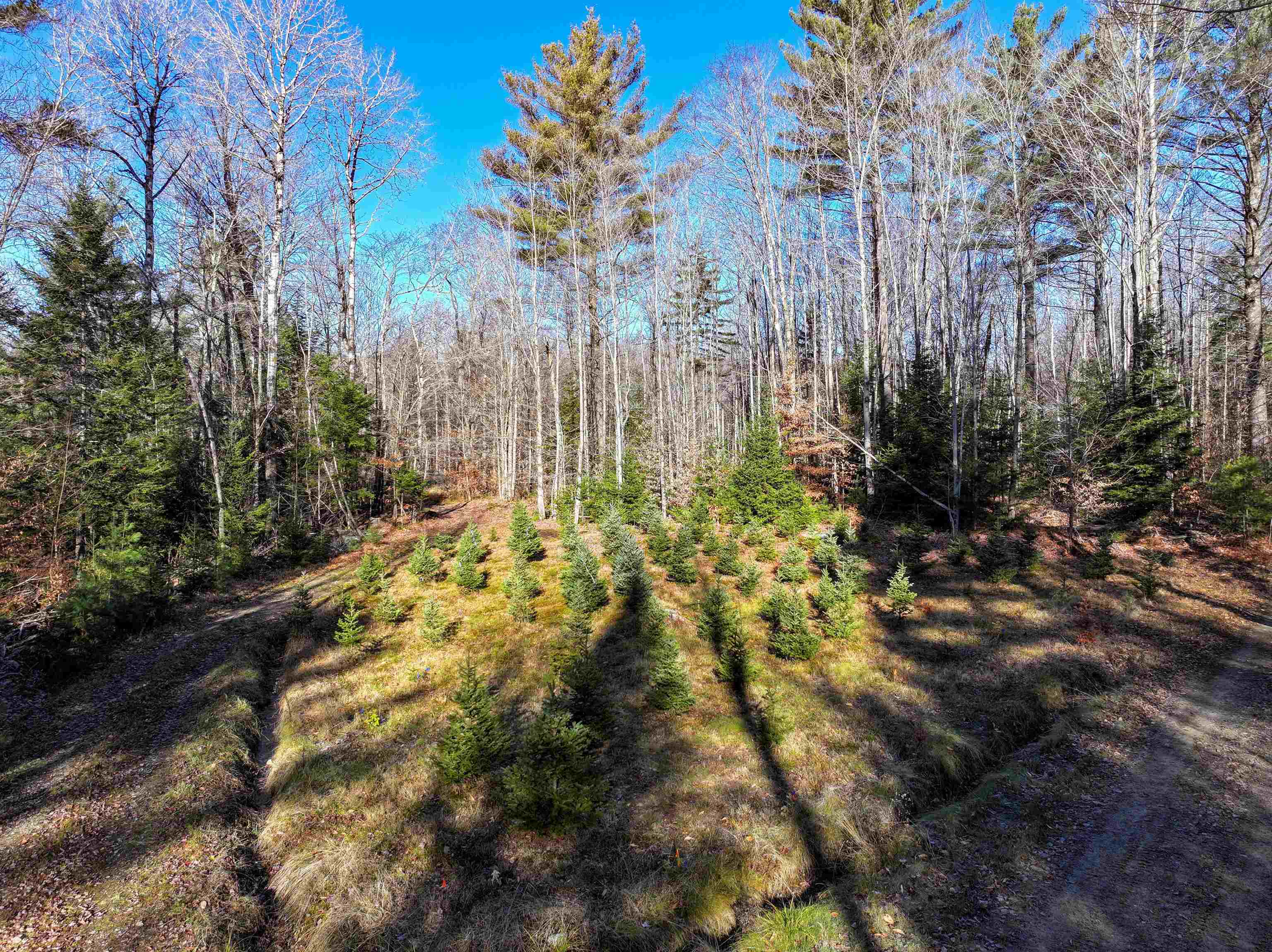 Tbd Selden Mill Road, Unit LOTS 1 AND 3 Ripton, VT 05766 - Photo 2 of 12