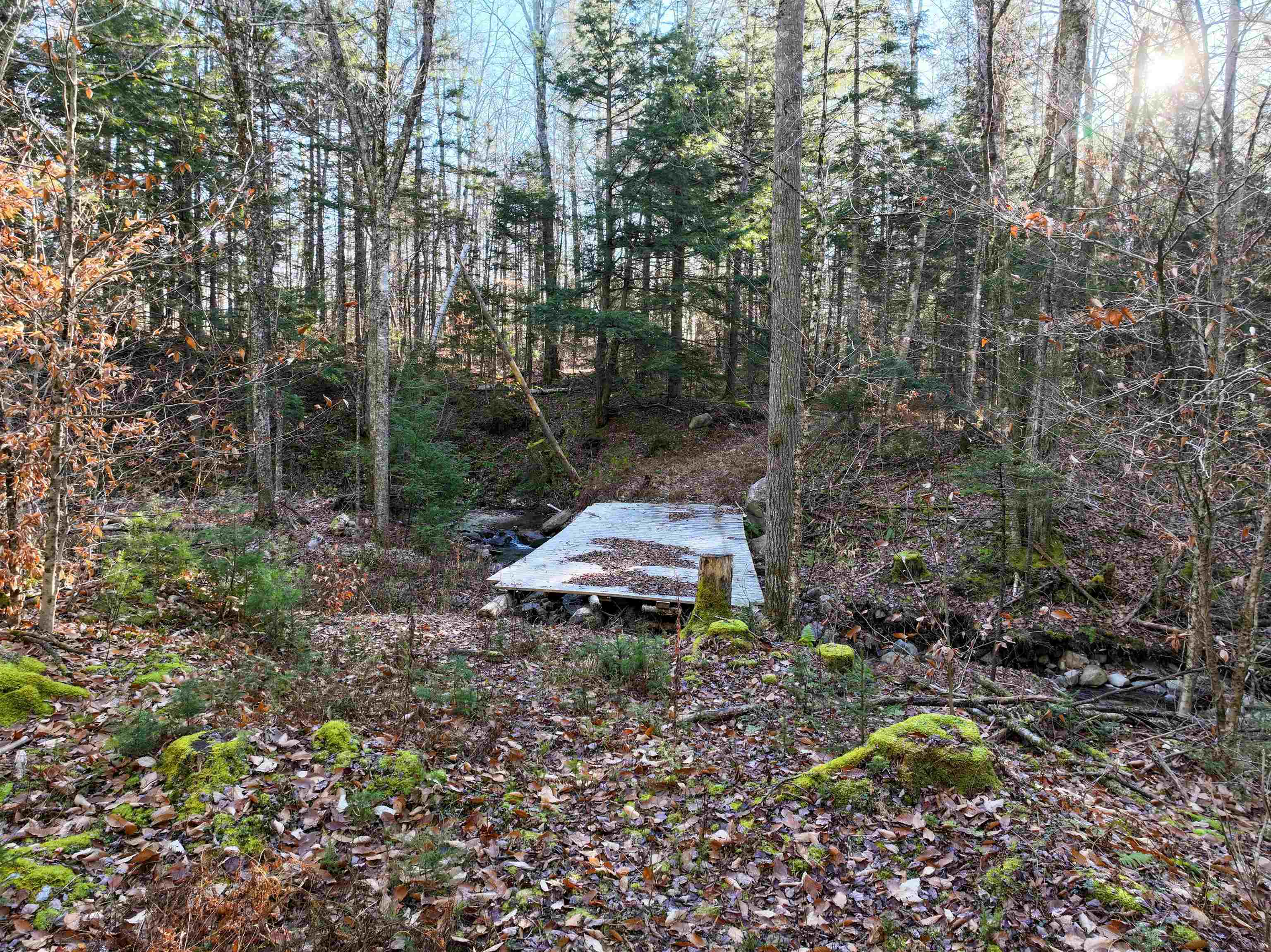 Tbd Selden Mill Road, Unit LOTS 1 AND 3 Ripton, VT 05766 - Photo 4 of 12