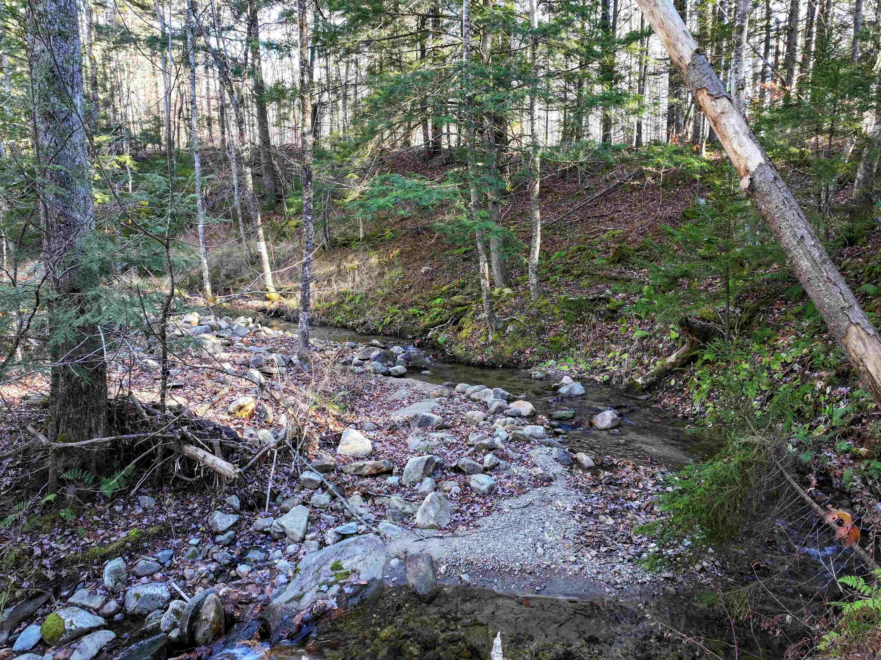 Tbd Selden Mill Road, Unit LOTS 1 AND 3 Ripton, VT 05766 - Photo 5 of 12