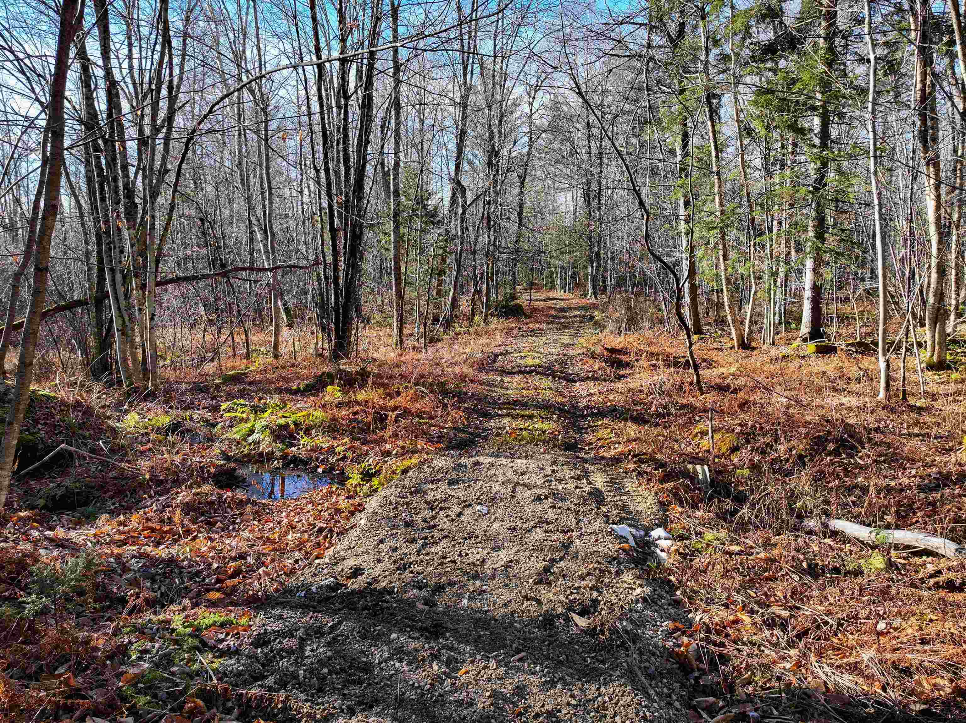 Tbd Selden Mill Road, Unit LOTS 1 AND 3 Ripton, VT 05766 - Photo 9 of 12