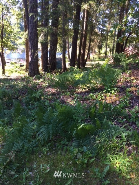 9936 Fairview Lake Road Southwest Port Orchard, WA 98367 - Photo 1 of 7 Gallery Image 1