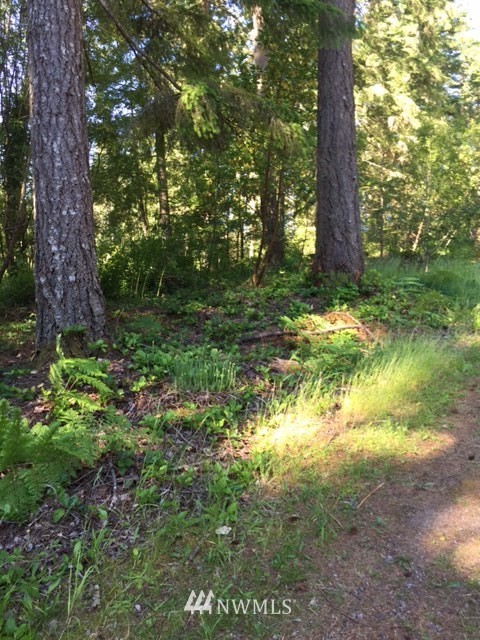 9936 Fairview Lake Road Southwest Port Orchard, WA 98367 - Photo 3 of 7 Gallery Image 3