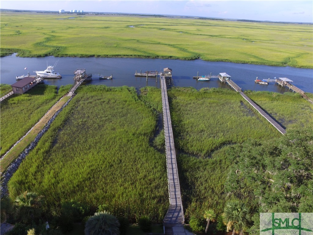 105 Riverside Drive Savannah, GA 31410 - Photo 35 of 36 Aerial view