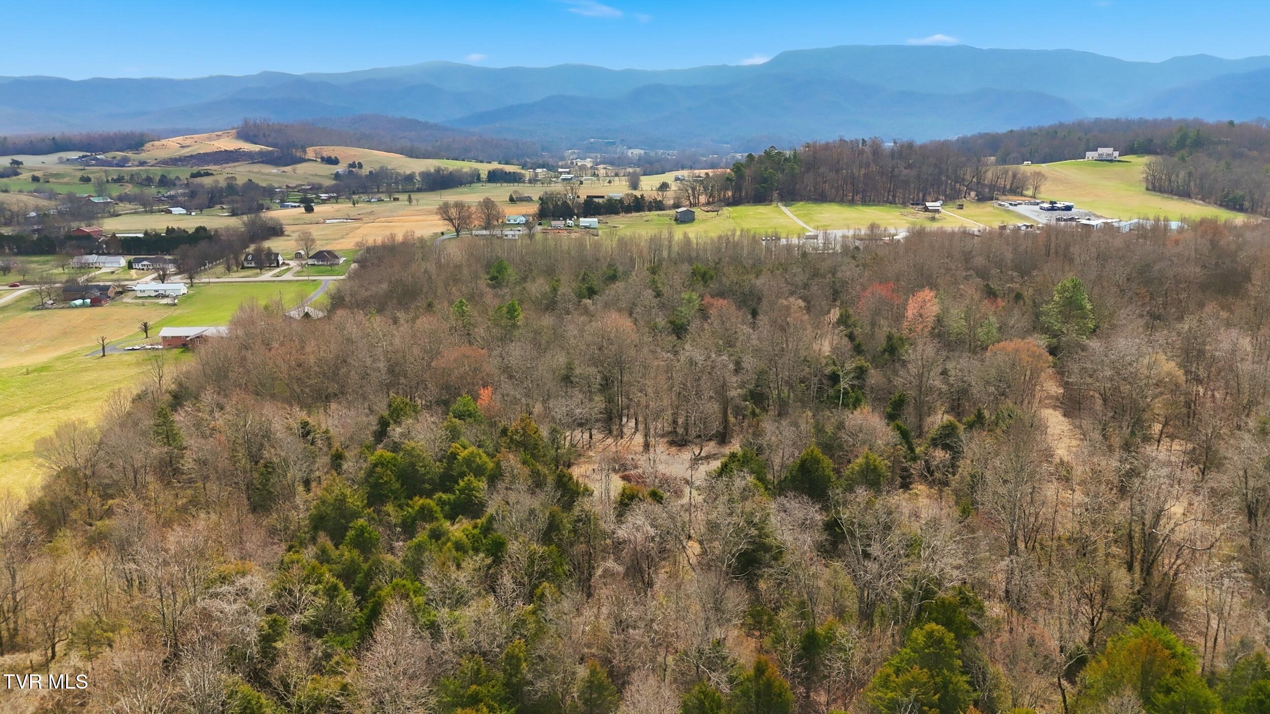 Tbd Erwin Highway Chuckey, TN 37641 - Photo 14 of 17 14_dji_20260304120216_0441_d