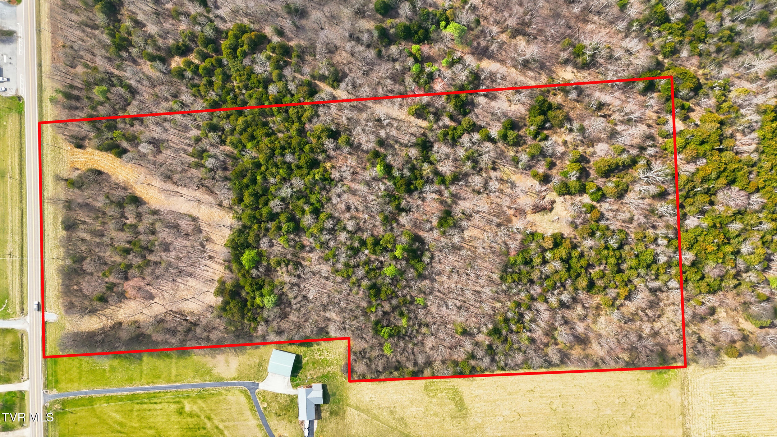 Tbd Erwin Highway Chuckey, TN 37641 - Photo 2 of 17 2_dji_20260304115846_0436_dpb