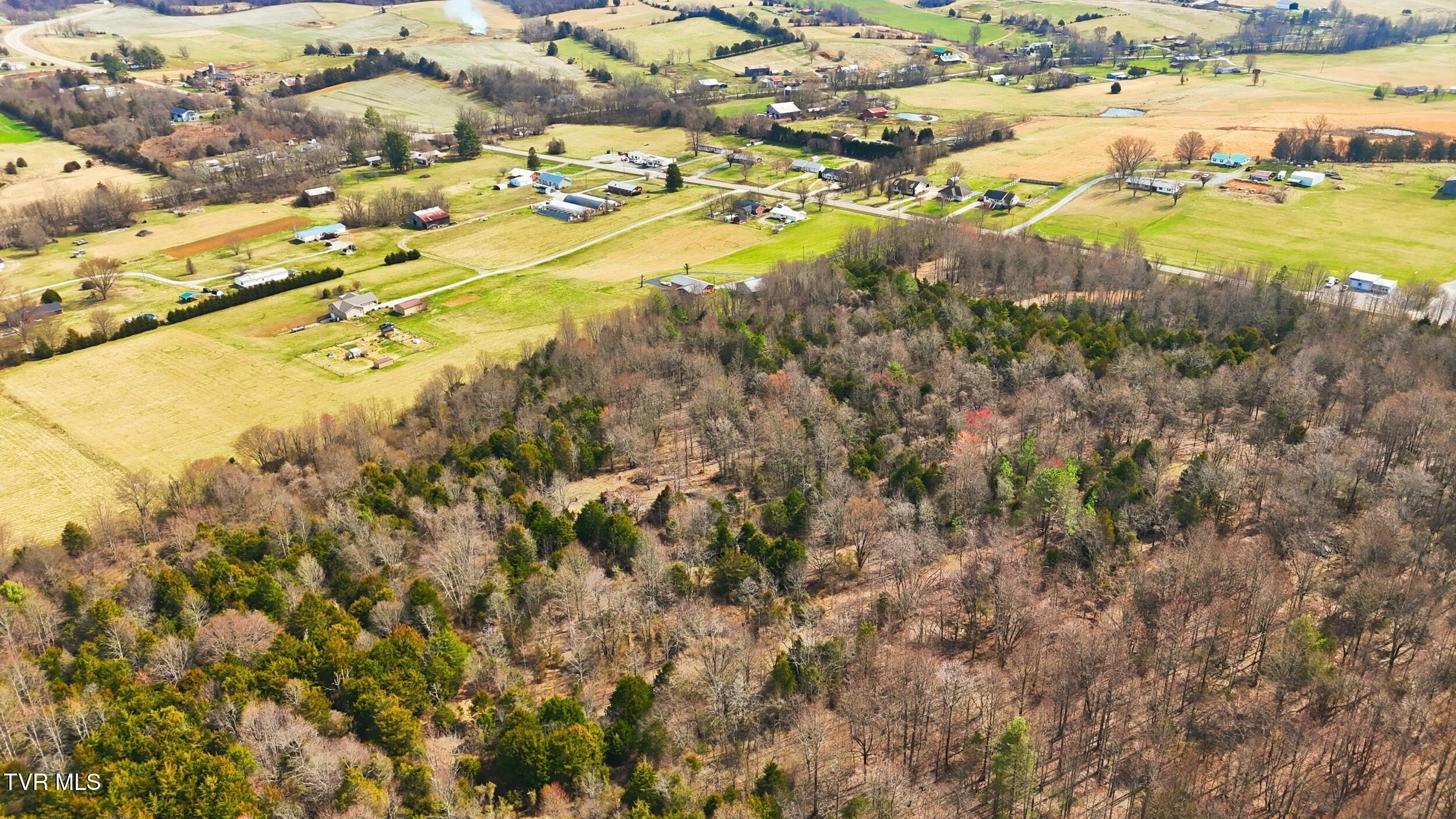 Tbd Erwin Highway Chuckey, TN 37641 - Photo 8 of 17 8_dji_20260304115640_0433_d
